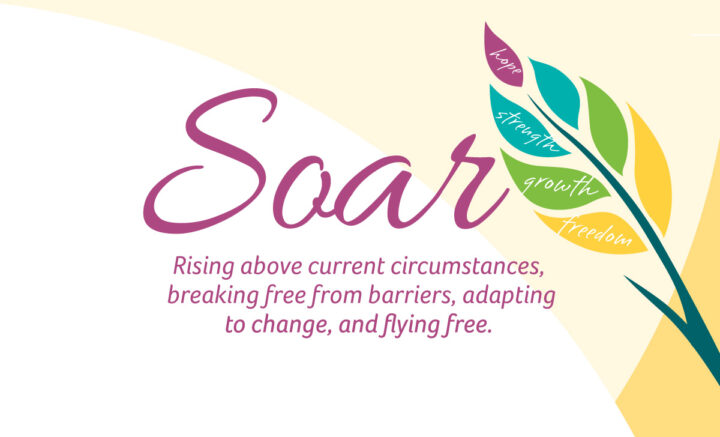 SOAR-HEADER